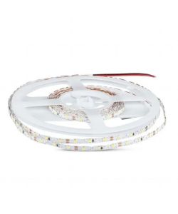 Strip LED SMD2835 5W/m 5m 60 LED/m 12V 6500K IP20 8mm
