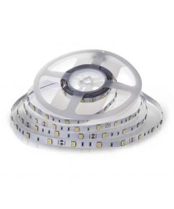 Strip LED SMD5050 6W/m 5m 30 LED/m 12V 6500K IP20 10mm