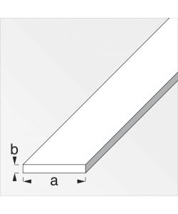 Alluminio - Barra Piatta Anodizzata 30x2 mm - Lunghezza 1 m - Imballo Sciolto