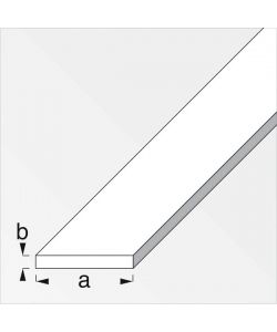 Barra Piatta Acciaio Laminato a Caldo 10x4mm Lunghezza 1m