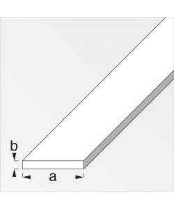 Alfer Barra Piatta Acciaio Zincato 35,5x1,5mm Lunghezza 1m Fai da Te