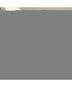 wolfcraft Banco di Lavoro con Morsa Master 600 6182000