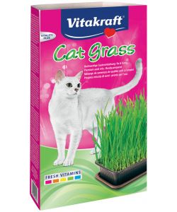 Cat Grass Erba Naturale Gatti
