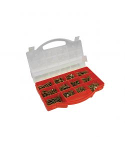 Assortimento viti zincate Pozidriv 900 pz.