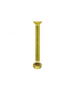 Viti per metallo T.P.S. ottone M5 x 30 - 10 pz.