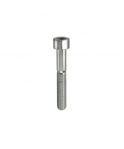 Viti testa cilindrica eagono incassato M10 x 100 - 2 pz.