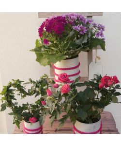 DUPLI-COLOR Vernice Spray ALL SEASON RAL 3003 Rosso rubino lucido 400 ml