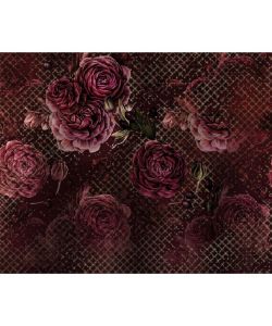 Komar Foto Murale Rouge Intense 350x280 cm