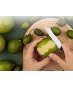 Set Coltelli da Cucina in Acciaio Inox e Impugnatura Ergonomica - 4 pz