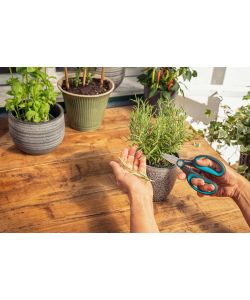 Gardena Forbice Giardino HerbCut Acciaio Inox 52 mm Ergonomica