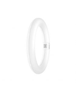 OSRAM Tubo LED Circolare T9 11W 4000K Bianco Freddo 1320lm Sostituzione T9