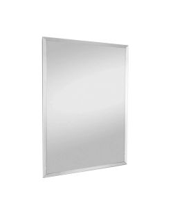 ROSI Specchio da Parete Cornice Liscia 60x30 cm Elegante Interni