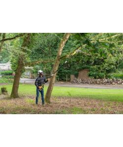 Ryobi Potatore Estensibile a Batteria 18V ONE+ Verde 20cm fino a 2,9m