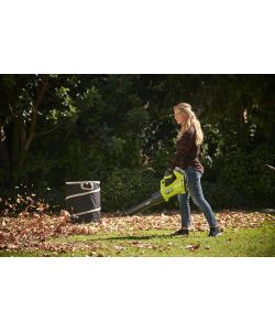 RYOBI Sacco per rifiuti vegetali pieghevole 150L colore nero