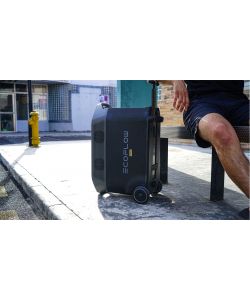 Generatore di corrente Power Station Portatile EcoFlow DELTA PRO
