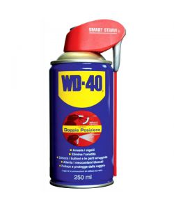 Lubrificante Spray Ml 250 Professional        Wd40