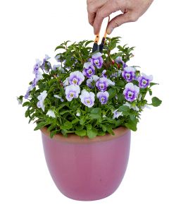 Cesoie Multiuso da Giardino con Manico a Molla - Compatte e Leggere