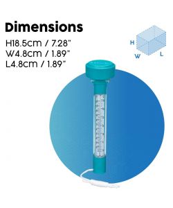 Bestway Termometro Galleggiante Verde per Piscine - Misura 18.5 cm