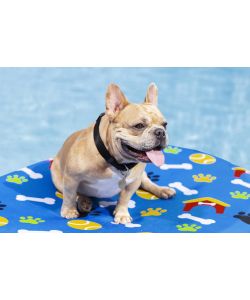 Bestway Materassino per cani blu 156x112 cm con rivestimento sfoderabile