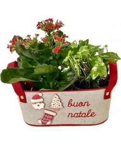 Composizione Natalizia di Fiori Rossi in Cestino in Juta - 22x10 cm