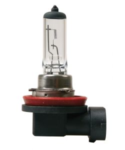 Lampada alogena H11 55w 1 pezzo