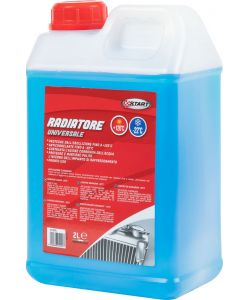 Liquido tergivetro effetto anticongelante -22grC 2L