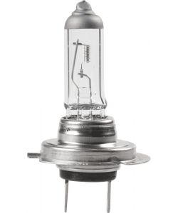 START Lampadina auto alogena H7 12V 100W PX26d singola Prime Lux