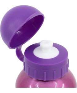 Borraccia per bambine in alluminio Principesse 530 ml