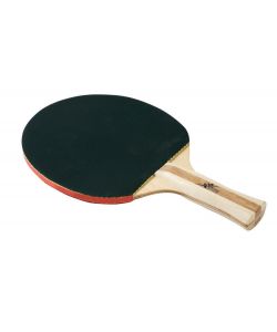 Training racchetta da ping pong due stelle per allenamento