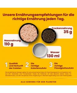 Almo Nature Alimento Umido Gatti Pollo e Zucca 70g -