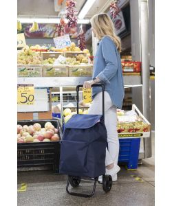 Gimi Carrello Spesa Argo Blu 42L Telaio Acciaio Pieghevole 30x36x94 cm