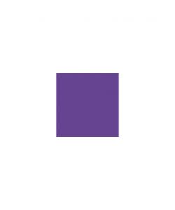 Colorante universale 40ml Viola