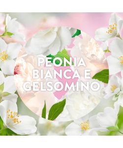 Airwick Diffusore Elettrico Oli Essenziali Peonia Bianca e Gelsomino