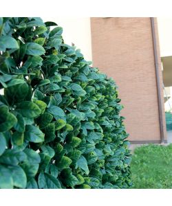 Tenax Siepe Artificiale Verde 200x100 cm con Foglie 3D Estensibile