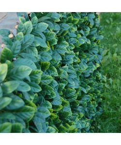 Tenax Siepe Artificiale Verde 200x100 cm con Foglie 3D Estensibile