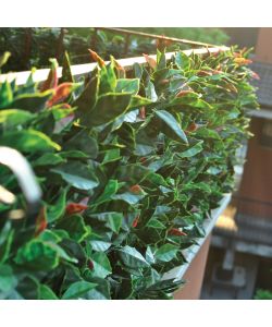 Tenax Set Siepi Artificiali - Verde - 0,5x1 m