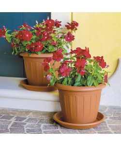 Stefanplast Sottovaso Tondo - Coccio -  22 cm