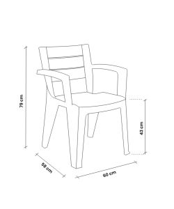 Bica Sedia Monoblocco Emma Grafite - Schienale a Doghe - 60x58x79 cm