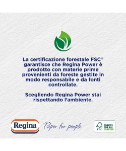 Regina Power Carta Asciugatutto Multiuso Bianco 1 Rotolo 250 Strappi
