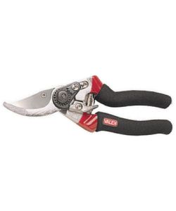 Valex Forbici da Potatura 210 mm Doppio Rivestimento Acciaio Verde