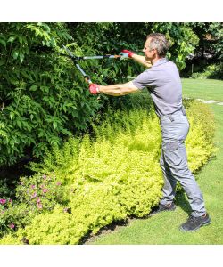 Valex Forbici per Siepi Manici Telescopici 230mm Lunghezza 695-840mm