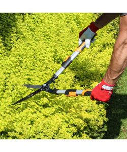 Valex Forbici per Siepi Manici Telescopici 230mm Lunghezza 695-840mm