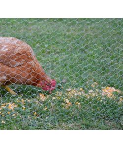 Rete Metallica Esazinc largh. 1 m x lungh. 10 m