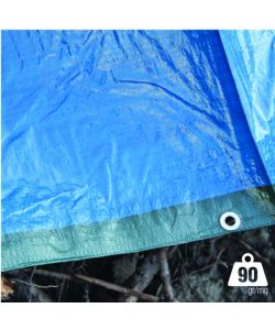 Telo di protezione 5x8m 90gr Occhiellato