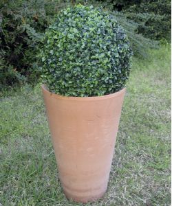 Sempreverde Greenball Deauville  28 cm