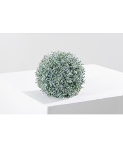 Sempreverde Greenball Provence  32 cm