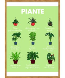 Decoposter Piante