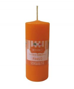 Candela Profumata Mango 3,9x9 cm Aroma Intenso Esotico