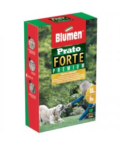 Blumen Semi Prato Forte 1 kg - Erba resistente al calpestio - Facile cura