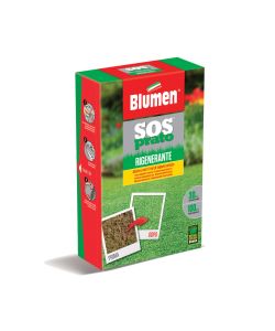Blumen Prato Rigenerante Sementi 1 kg - Miscuglio per Tappeti Erbosi